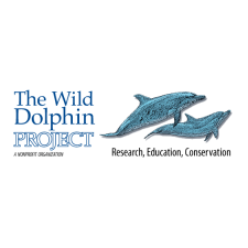 Wild Dolphin Project
